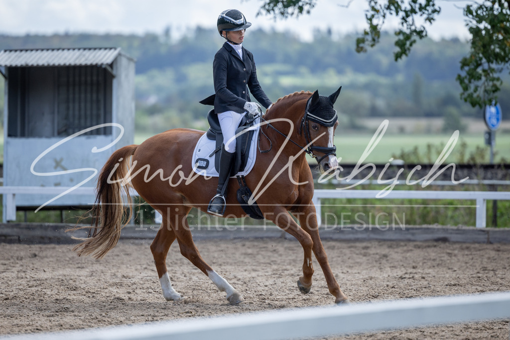 20260905-_3LI8243 | Tierfotografie Pferde, Hunde, Katzen, Haustiere.
Turnierfotografie Reitturniere, Reiten, Springreiten, Dressur in Hanau, dem Main-Kinzig-Kreis und dem Rhein-Main- Gebiet um Frankfurt