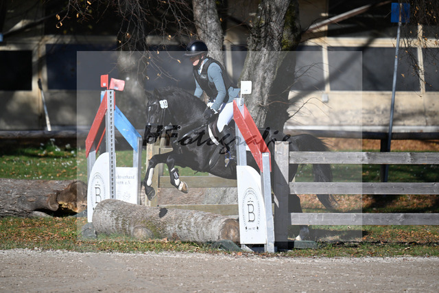 Kat-Nr. 12 Manhattans Highlight v. Manhattan Love Story_Agrar GmbH Crawinkel_43250568 | hf-fotografie - Realized with Pictrs.com