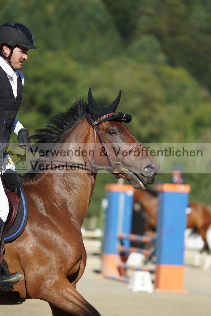 DSC08246 | equestrian-live-com