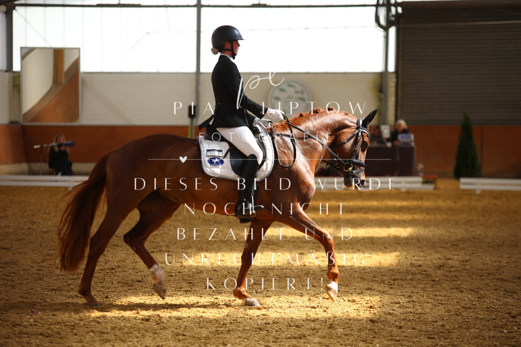 IMGT4755 | pl-fotografie