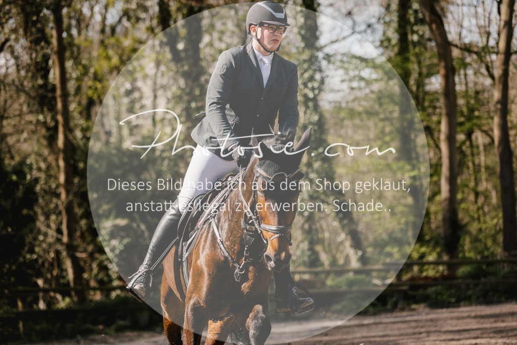 3I6A3984 | Stimmungsvolle Portraits und Reitsportfotografie im Ruhrgebiet und im Münsterland.

Pferdefotografie, Hundefotografie, Tierfotografie, Reportagen, Portraits von Tier und Mensch, Turnierfotografie in Bochum, Recklinghausen, Marl, Haltern am See, Dülmen.. - Realisiert mit Pictrs.com