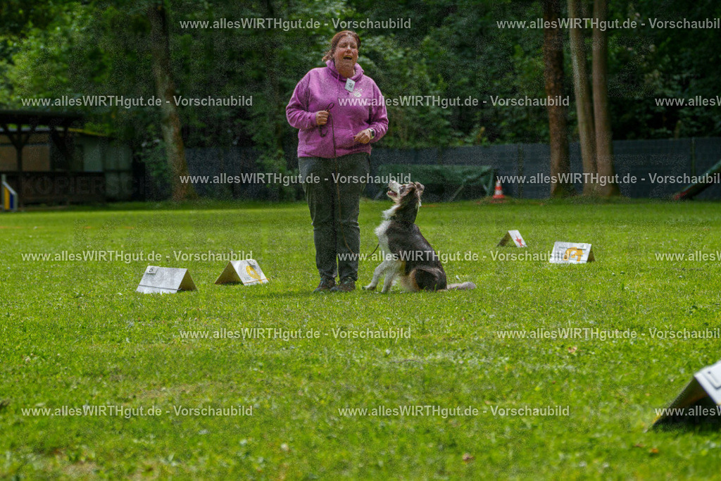 @allesWIRTHgut_Tierfotografie - www.allesWIRTHgut.de - 7R504884 | Professionelle Tierfotografie in Mönchengladbach von Daniel Wirth (allesWIRTHgut). Liebevolle & natürliche Bilder von Hunden & Katzen für unvergessliche Erinnerungen.