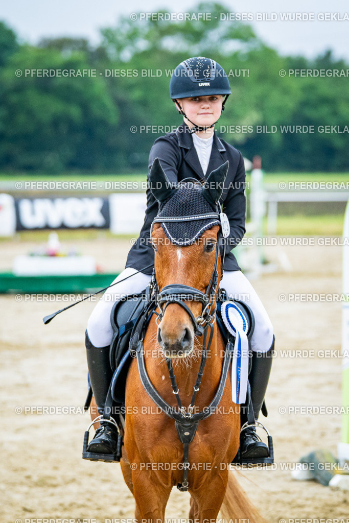 DSC02815 | Pferdegrafie