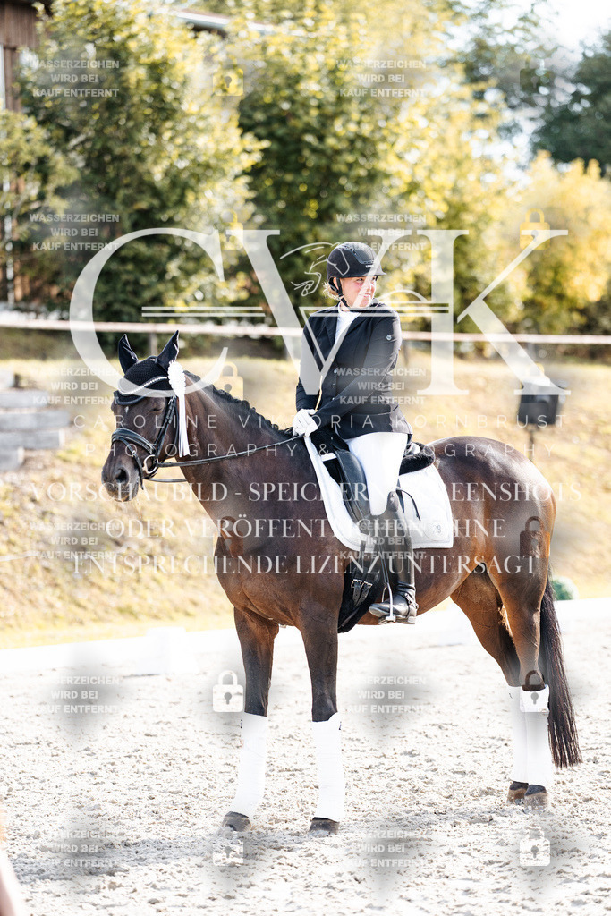 CK901781 | Turnierfotografie Pferdefotografie Trier Rheinland-Pfalz Pferdesport Reitsport Tierfotografie Sportfotografie Pferdevideo Pferdevideografie Equestrianvideography equestrianphotography  - Realisiert mit Pictrs.com