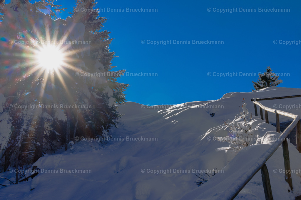Auf_dem_Kranzberg | Dennis-Brueckmann-Fotografie - Realisiert mit Pictrs.com