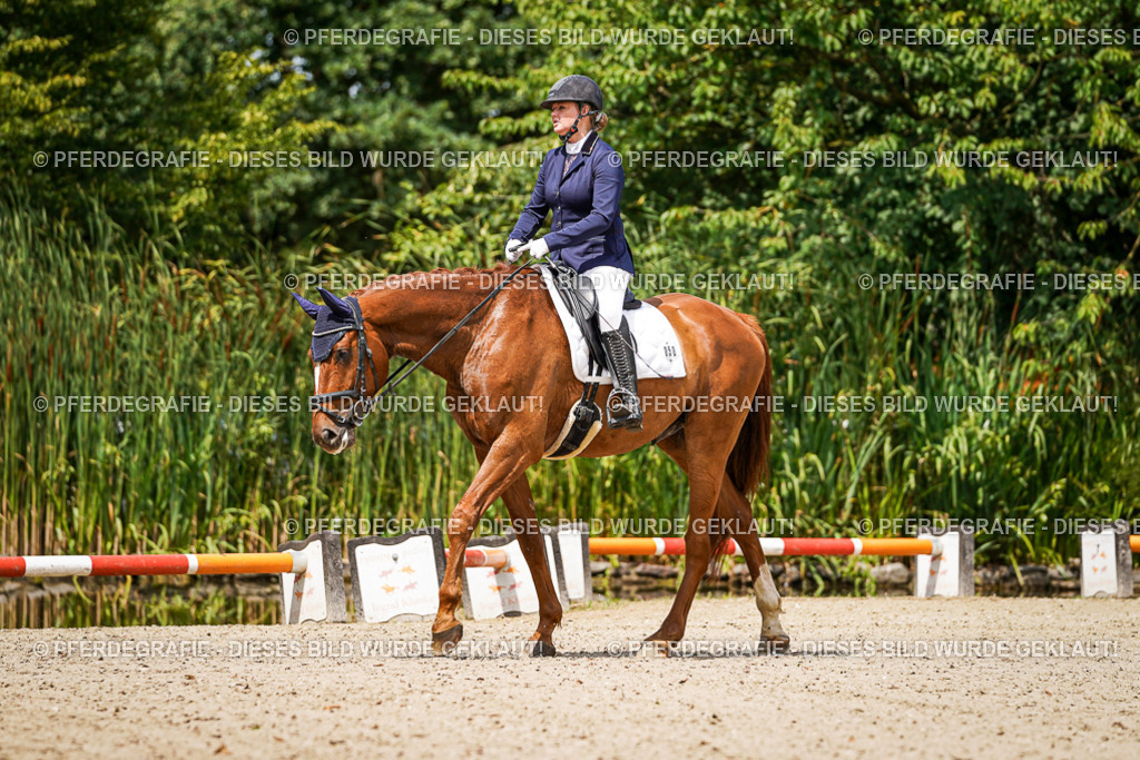 DSC02537 | Pferdegrafie