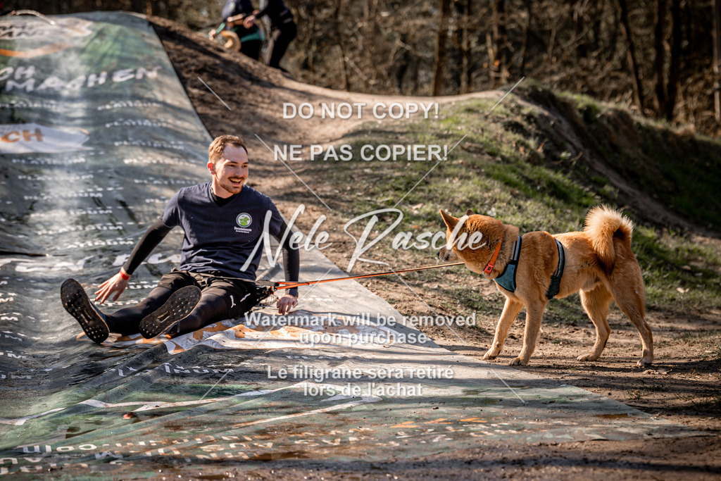 nelerasche_Hulsbeek_So1300-1330_485 | nelerasche