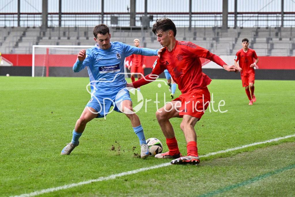 FC Bayern München U19 - TSV 1860 München U19 | Im duell Matthias ROITHMAYR (TSV 1860 Muenchen U19 #8) und Roko MIJATOVIC (FCB #6) / Zweikampf / U19 DFB Nachwuchsliga: FC Bayern Muenchen U19 - TSV 1860 Muenchen U19, FC Bayern Campus am 02.11.2024