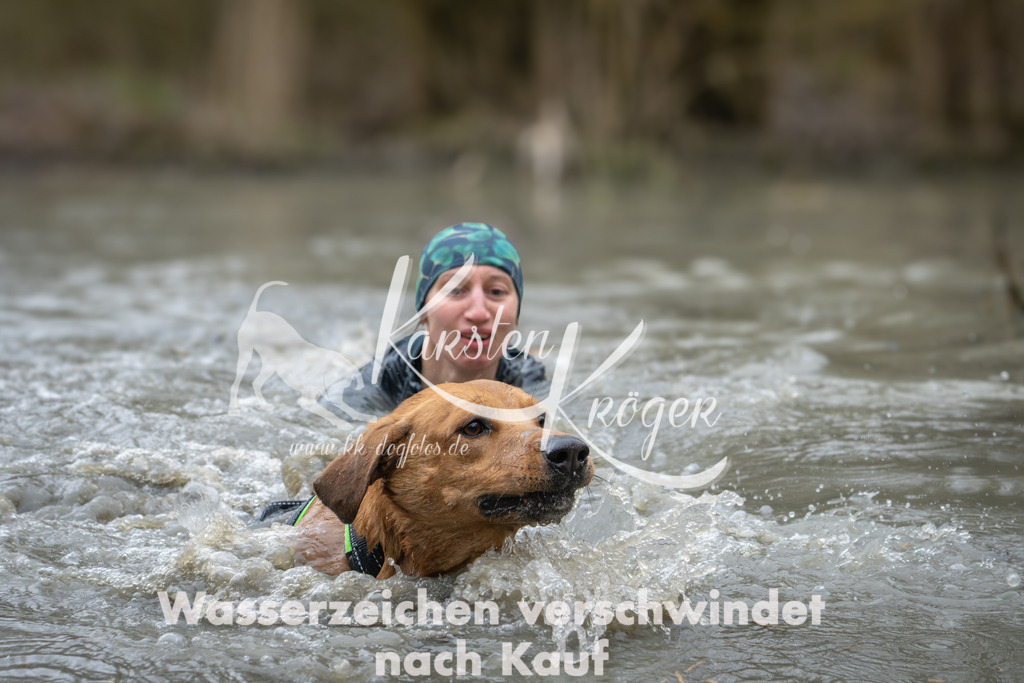 1028_ZZ90031 | kk-dogfotos