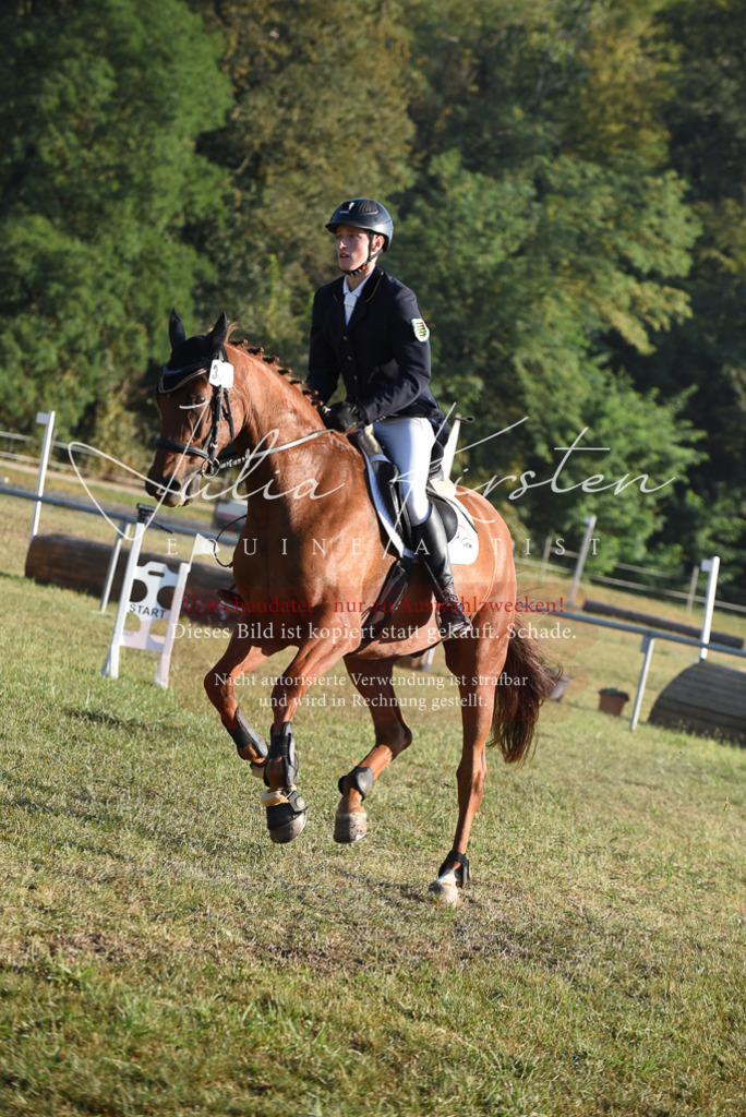 DSC_4969 | Pferde- und Turnierfotografie in Westsachsen. Pferdeportraits, Auftragszeichnungen und intuitive Kunst.