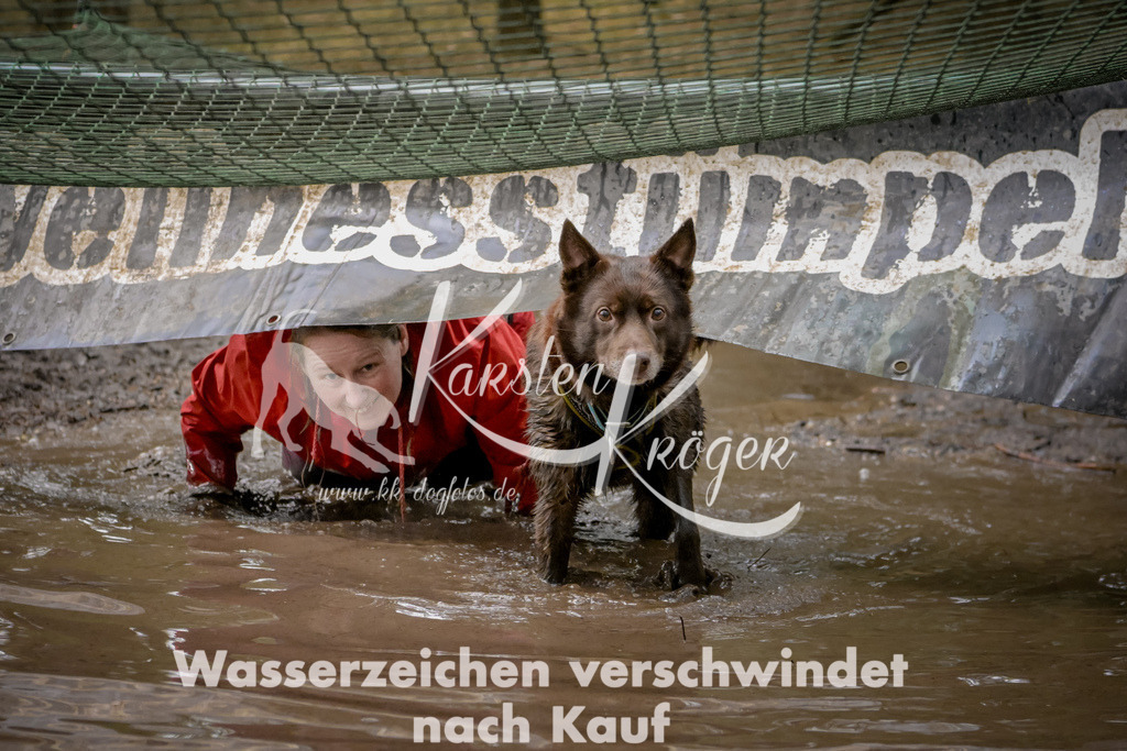 1037_ZZ91661 | kk-dogfotos