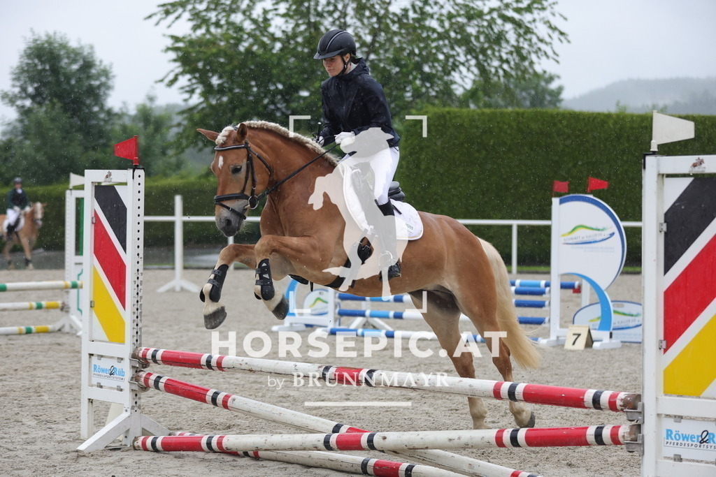0P6A7627 | Willkommen bei Brunnmayr - Design & Fotografie – Ihrem Spezialisten für Reitturniere und Pferdeveranstaltungen in Oberösterreich, Salzburg und Bayern! Seit über 17 Jahren sind wir leidenschaftlich dabei.