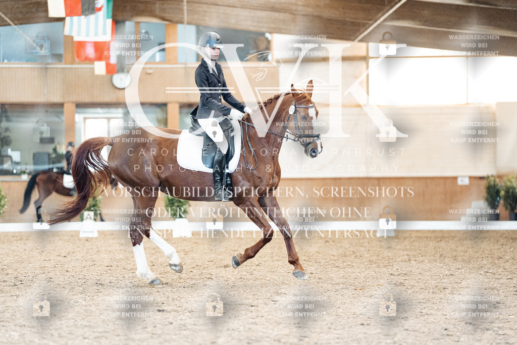 CK908602 | Turnierfotografie Pferdefotografie Trier Rheinland-Pfalz Pferdesport Reitsport Tierfotografie Sportfotografie Pferdevideo Pferdevideografie Equestrianvideography equestrianphotography  - Realisiert mit Pictrs.com