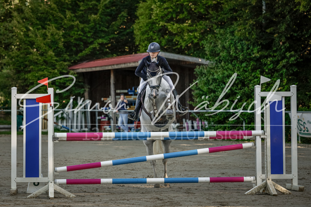 20250906-_3LI2932 | Tierfotografie Pferde, Hunde, Katzen, Haustiere.
Turnierfotografie Reitturniere, Reiten, Springreiten, Dressur in Hanau, dem Main-Kinzig-Kreis und dem Rhein-Main- Gebiet um Frankfurt