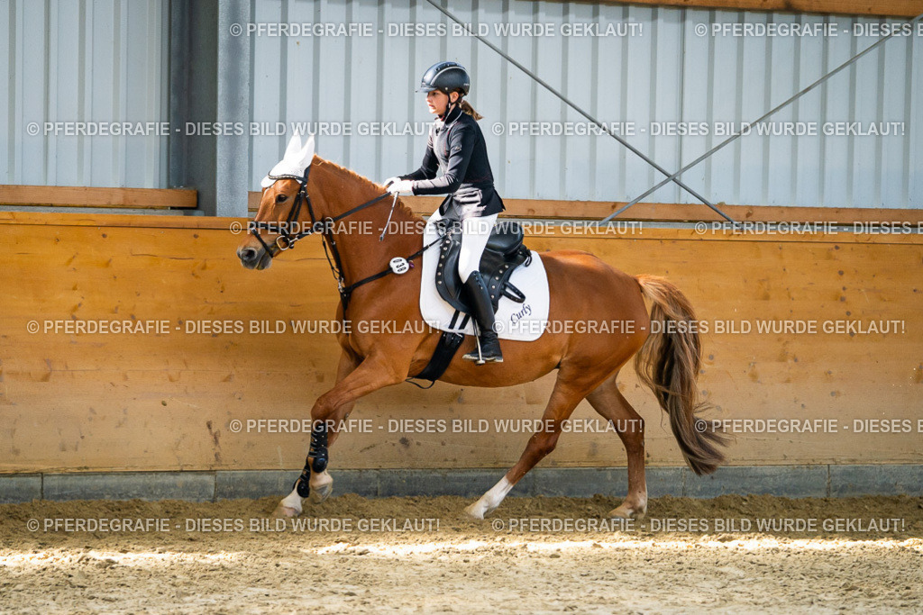 DSC01834 | Pferdegrafie