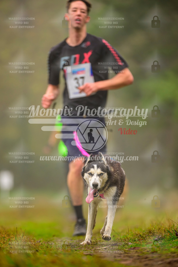 MompixPhotography_Bischwiller2025_Canicross-146 | mompixphotography