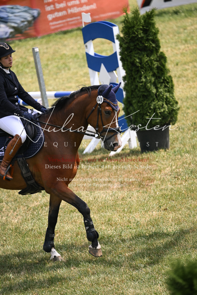 DSC_9523 | Pferde- und Turnierfotografie in Westsachsen. Pferdeportraits, Auftragszeichnungen und intuitive Kunst.
