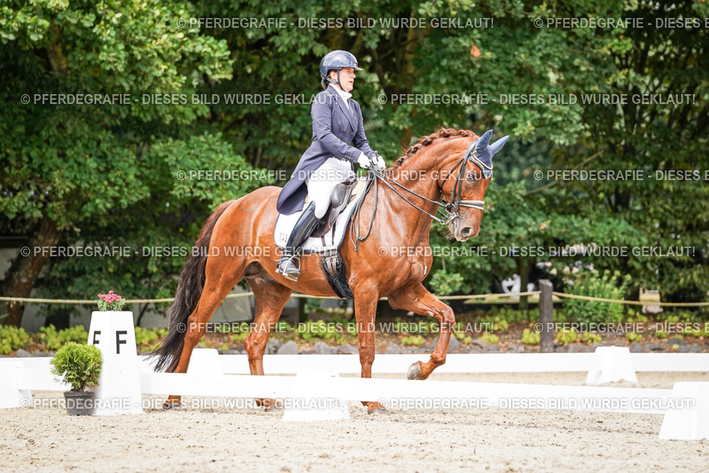 DSC05954 | Pferdegrafie