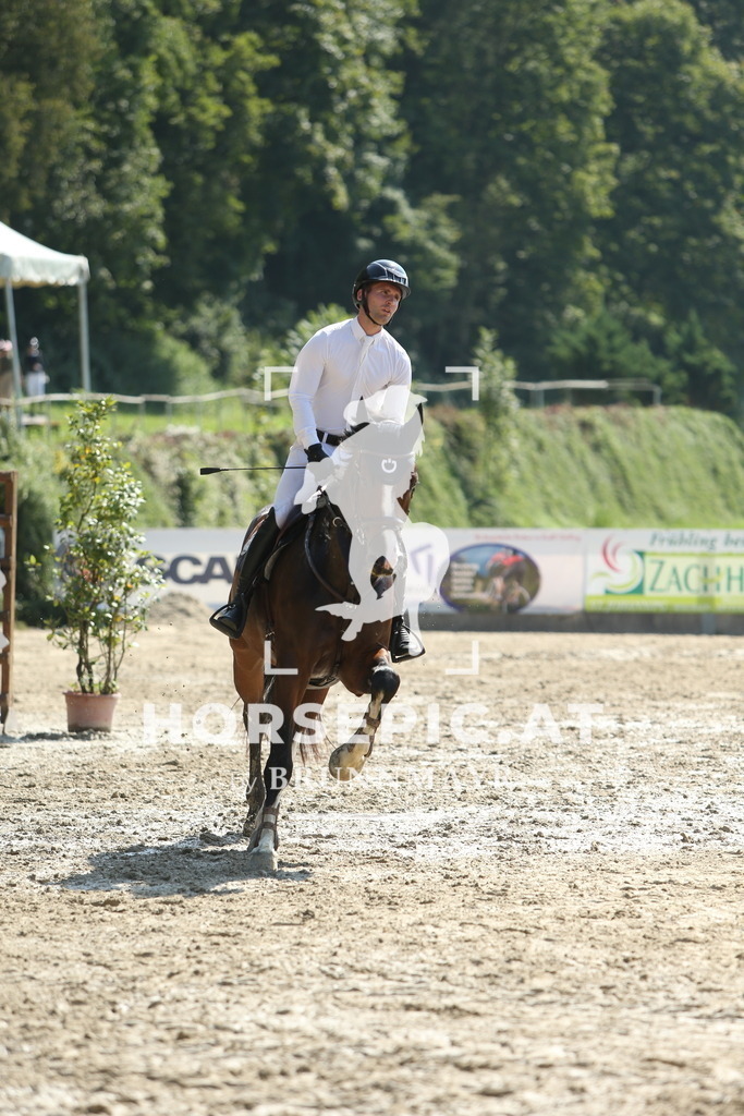 DL2Q2054 | Willkommen bei Brunnmayr - Design & Fotografie – Ihrem Spezialisten für Reitturniere und Pferdeveranstaltungen in Oberösterreich, Salzburg und Bayern! Seit über 17 Jahren sind wir leidenschaftlich dabei.
