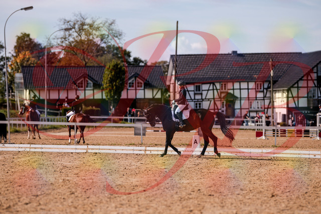 2026_10_03_Siefer-Hof_133757_Z81_93781519 | Professionelle Reitsport-, Turnier- und Eventfotografie von Robert Broda. Galerien mit ausgewählten und bearbeiteten Bildern direkt online ansehen und bestellen.