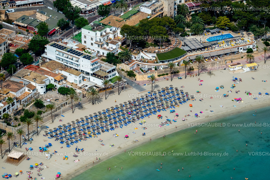 Mallorca230600277N | Luftbild, Strandleben mit Sonnenliegen und Sonnenschirmen, Strand von Palmira am Passeig Maritim de Palmira, Playa Palmira, Peguera, Calvia, Balearen, Mallorca, Balearische Inseln, Spanien