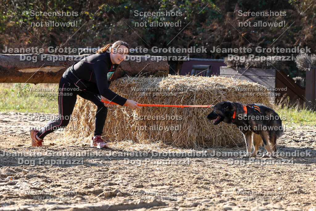 Dog Paparazzi - Strongdog 10-25-6039 | Dog Paparazzi Jeanette Grottendiek Fotografie & Videografie - Realisiert mit Pictrs.com