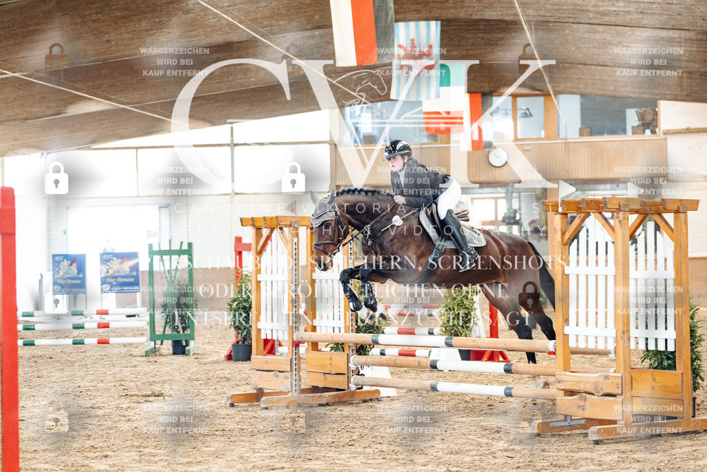 CK904008 | Turnierfotografie Pferdefotografie Trier Rheinland-Pfalz Pferdesport Reitsport Tierfotografie Sportfotografie Pferdevideo Pferdevideografie Equestrianvideography equestrianphotography  - Realized with Pictrs.com