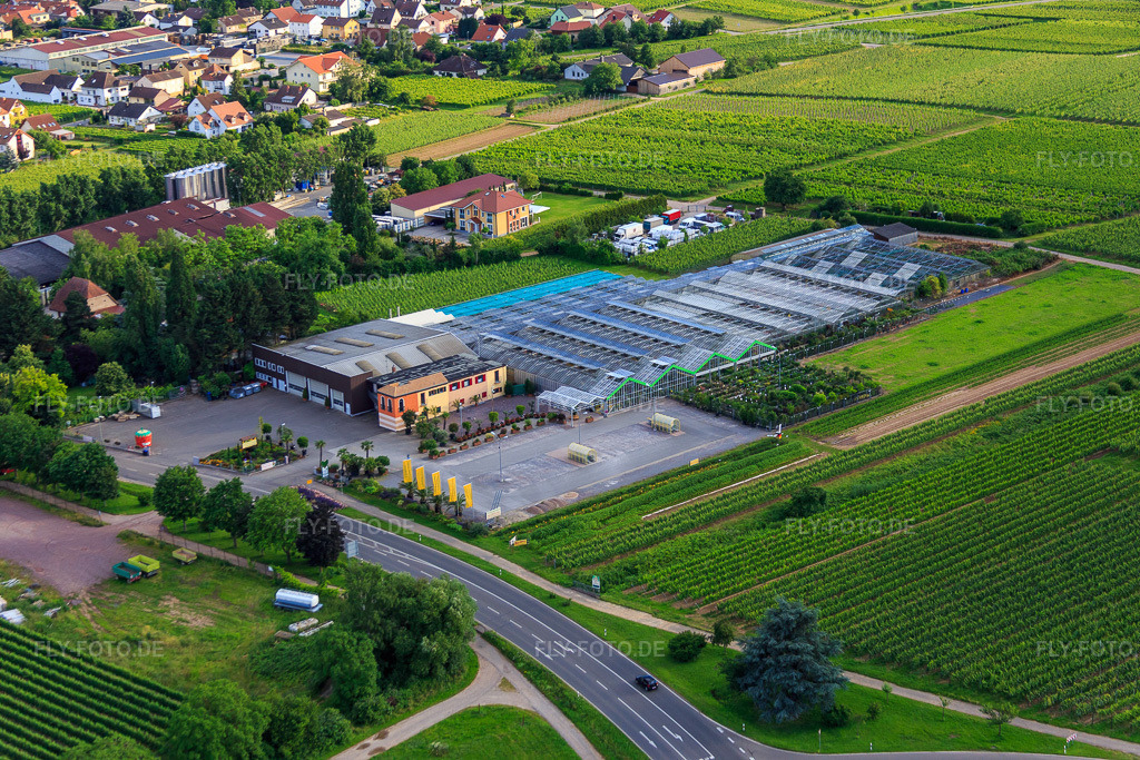 Luftbild: Gartencenter Edesheim GmbH in Edesheim im Bundesland Rheinland-Pfalz in Deutschland. Foto: IMG_090133.jpg vom 26.06.2016 durch Werner Riehm/FLY-FOTO.deFrühling gibt es bei uns! Bei Ihrem GCE !