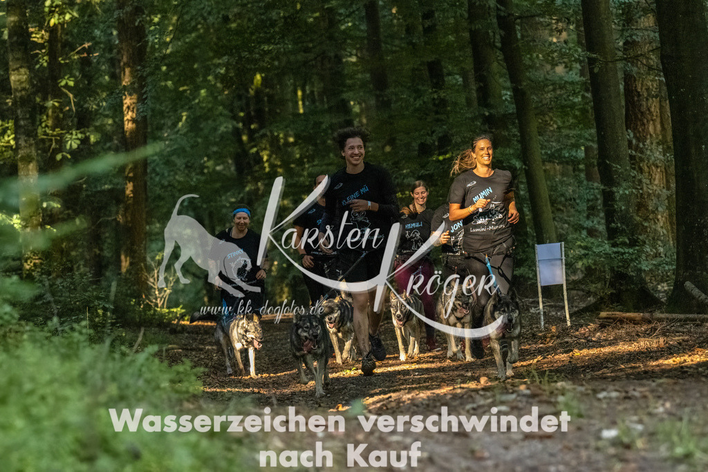 0939_ZZ91437-Bearbeitet | kk-dogfotos