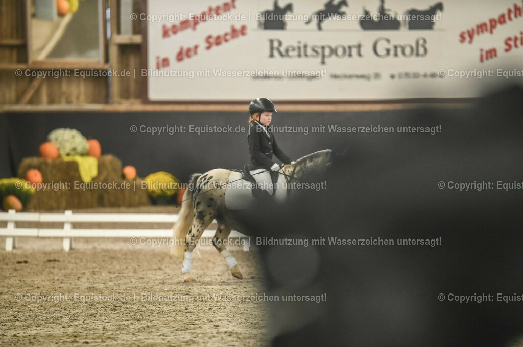 20231029_02_Reiter-WB_Schritt-Trab_Abteilung-03_0050 | Foto: Thomas Hartig