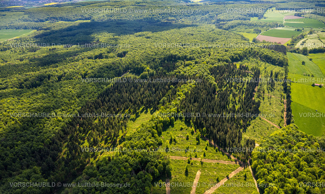 Brakel240504727NSG-HinnenburgerForst | Luftbild, NSG Naturschutzgebiet Hinnenburger Forst mit Emder Bachtal, am Mühlenbach, Mischwaldgebiet, Nieheim, Ostwestfalen, Nordrhein-Westfalen, Deutschland