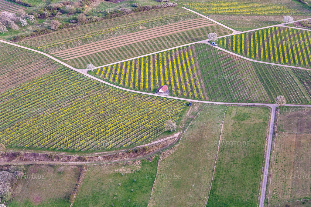 Luftbild: Haardtrand-Wolfsteig in Pleisweiler-Oberhofen im Bundesland Rheinland-Pfalz in Deutschland. Foto: IMG_131188.jpg vom 12.04.2022 durch Werner Riehm/FLY-FOTO.de