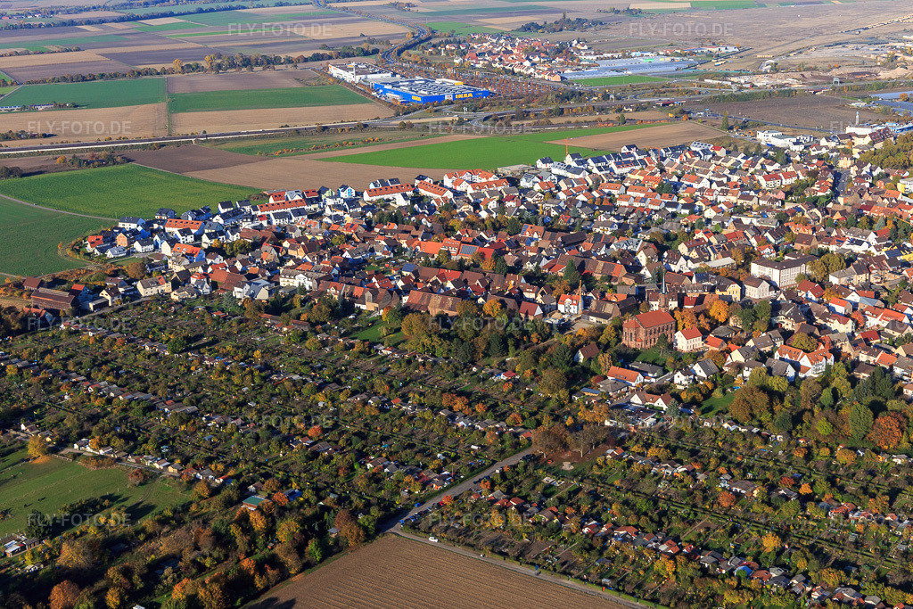 Luftbild: Ortsansicht jenseits des Verein der Gartenfreunde 04 Mannheim-SandhofenKleingartenanlage aus Westen im Ortsteil Sandhofen in Mannheim im Bundesland Baden-Württemberg in Deutschland.Foto: IMG_095509.jpg vom 30.10.2016 durch Werner Riehm/FLY-FOTO.deAuflösung des Originals: 5472 x 3648 pxgartenfreunde 04