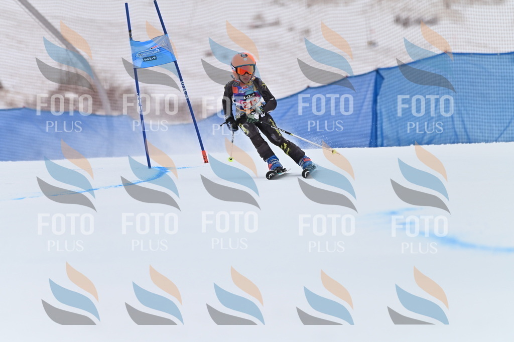 BGV_2450 | holidayphoto