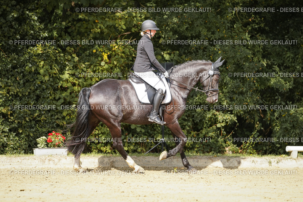 DSC02441 | Pferdegrafie