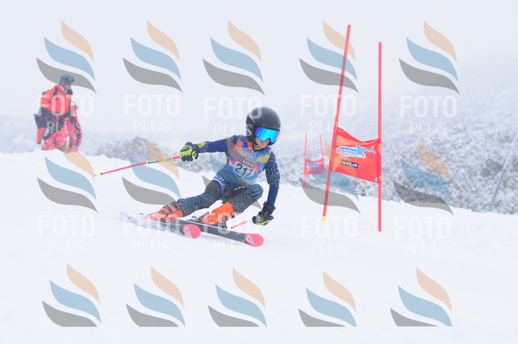 C2319 | holidayphoto