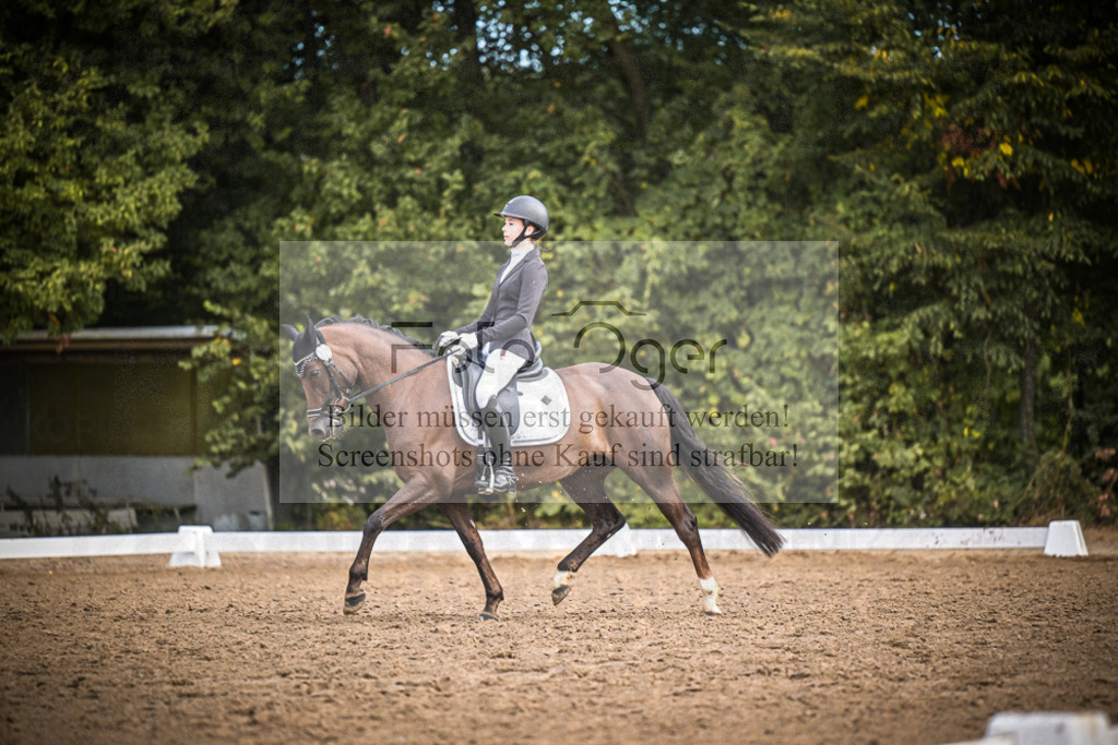 DOS_2270 | Entdecke hochwertige Reitturnierfotos von Foto Oger. Professionell, emotional und authentisch – jetzt Lieblingsmomente im Shop bestellen.Deutschlandweite Turnierfotografie. - Realisiert mit Pictrs.com