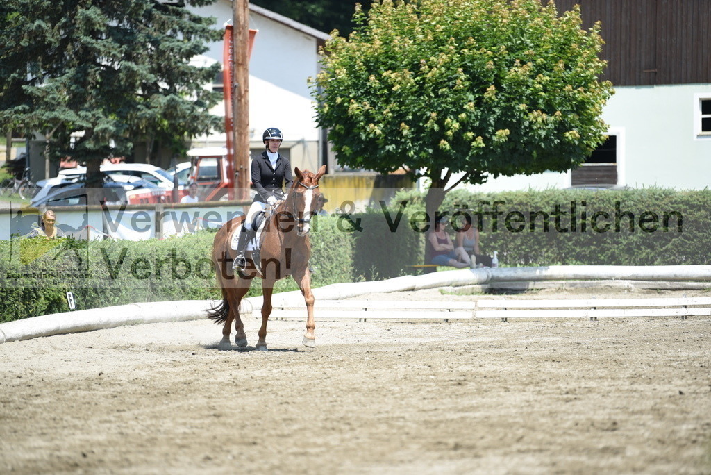 DSC_0399 | equestrian-live-com