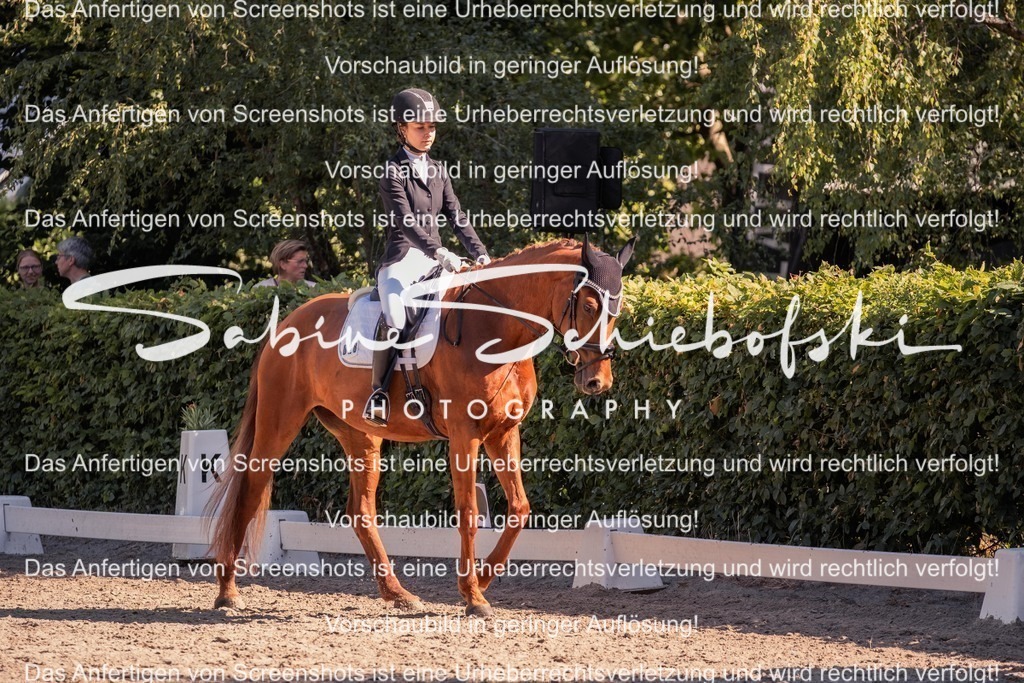 2025_05_31_DSCF2977 | People- und Tierfotografie, Imageaufnahmen, Veranstaltungsfotografie und Wandbilder aus der Natur ★ Made in Germany ✔️ Druck + Downloads ✔️ Naturfotografie in Top Qualität ★ schneller Versand, weltweite Lieferung! - Realisiert mit Pictrs.com