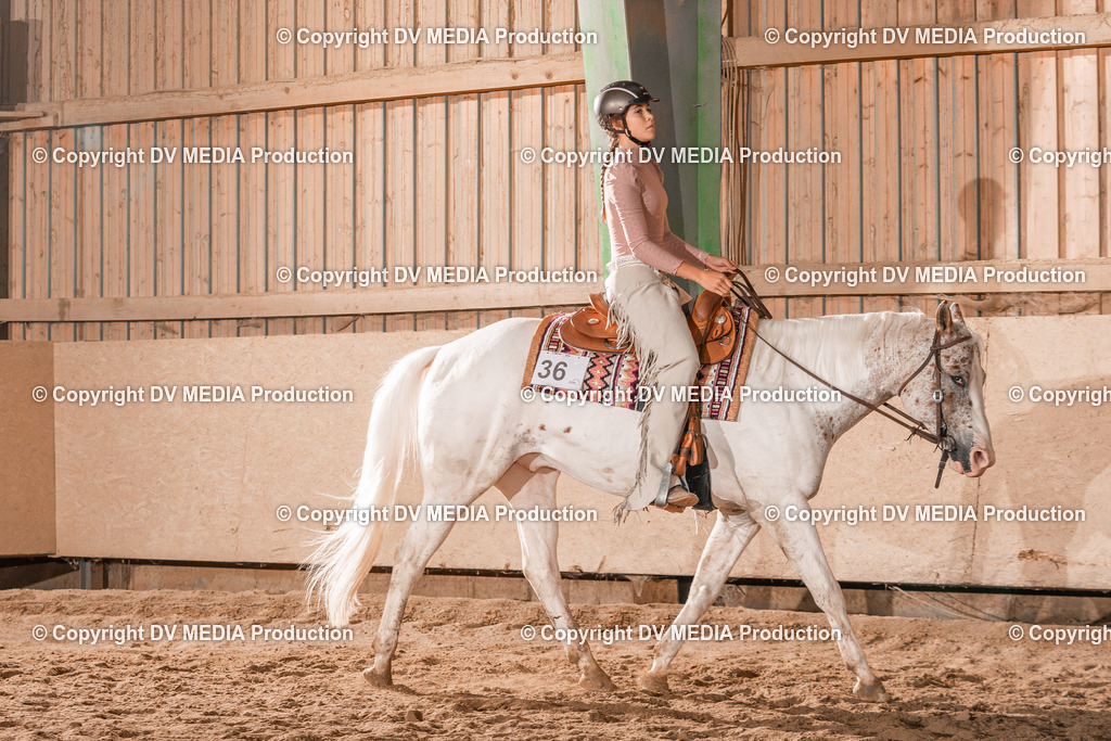 Balingen Tag 3-221 | dv-media-shop - Realisiert mit Pictrs.com