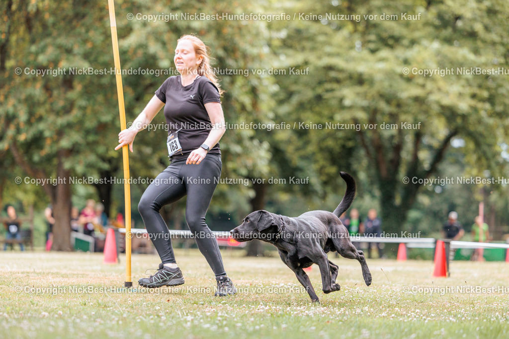 THS-Quakenbrück-2026-Nickbest-Hundefotografie-1343 | Dein Hund! Dein Moment! Deine Erinnerungen! Hundefotografie in Bremen Blumenthal. Ich fange die besonderen Momente deines Vierbeiners ein – ob Indoor mit Blitzanlage oder in der freien Natur. Sicher dir dein Moment und dein Termin für eure Erinnerungen.