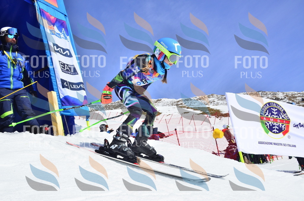 _ELE0543 | holidayphoto