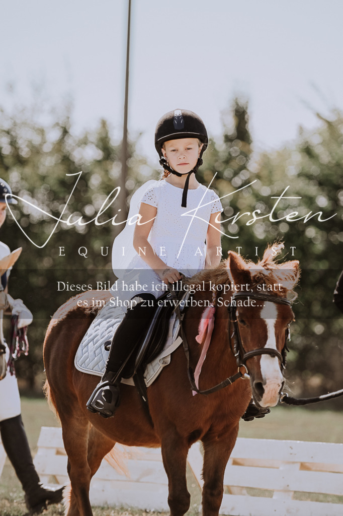 DSC_8896 | Pferde- und Turnierfotografie in Westsachsen. Pferdeportraits, Auftragszeichnungen und intuitive Kunst.