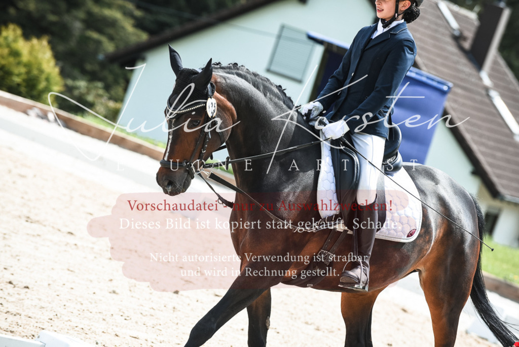 20230518_JK-Röhrsdorf-11-0511 | Pferde- und Turnierfotografie in Westsachsen. Pferdeportraits, Auftragszeichnungen und intuitive Kunst.