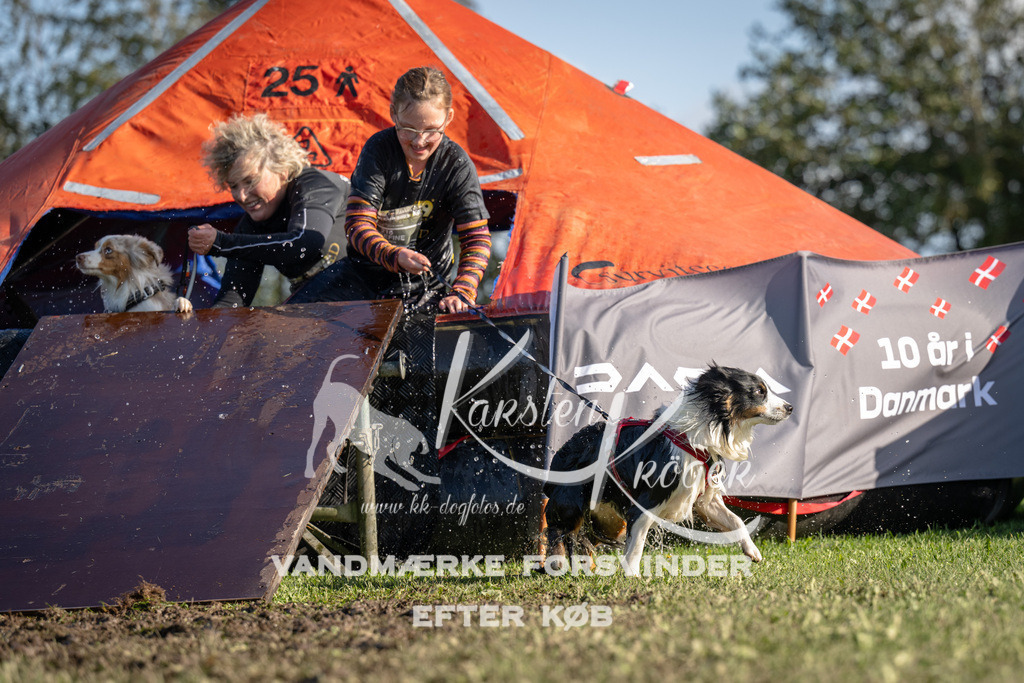 1440-94759 | kk-dogfotos