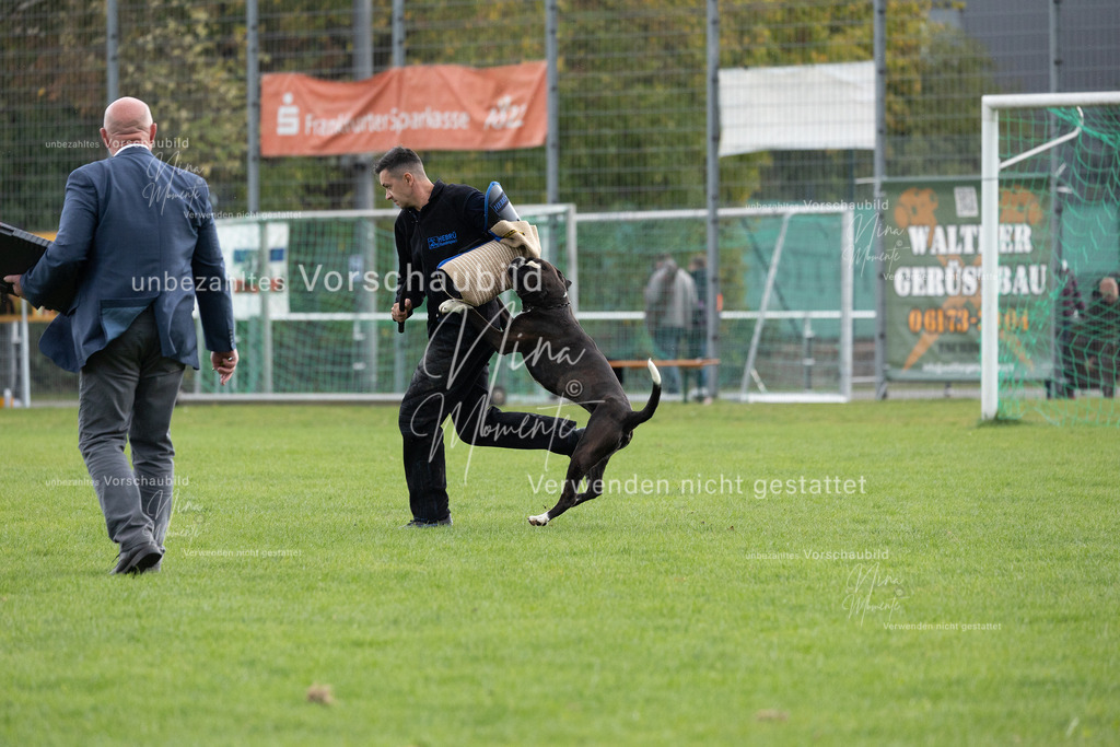 _16A7115 | Einzigartige Fotos von Hunden & Menschen –Actionfotos, Portraits, Vereinsaufnahmen & Paarshootings – authentisch, lebendig & mit Herz.