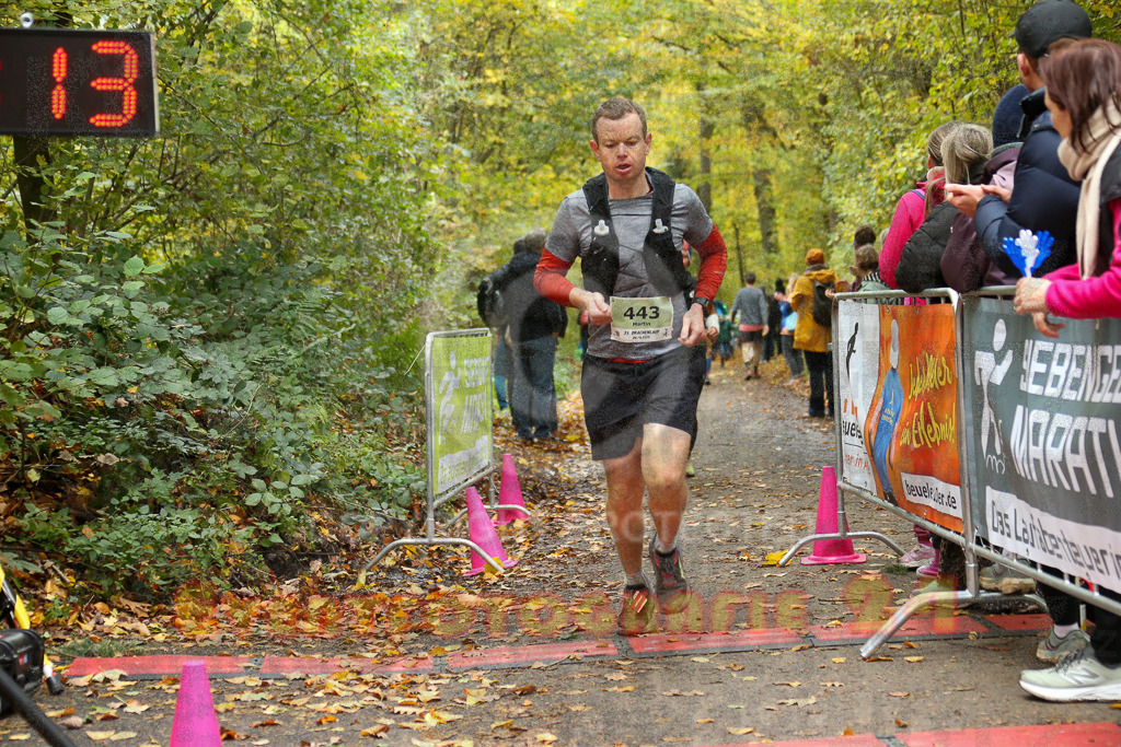 251026_1308_EX1_2632 | Sportfotografie im Rhein-Sieg Kreis, Köln, Bonn, NRW, Rheinland Pfalz, Hessen, etc. Unser Tätigkeitsfeld umfasst den Laufsport vom Volkslauf über den Marathon, Duathlon, Triathon bis zum Ultralauf wie Kölnpfad Ultra oder Schindertrail.