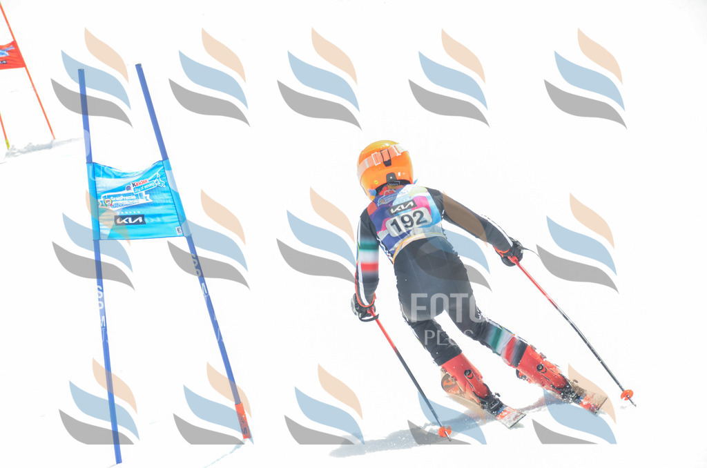 _ELE6814 | holidayphoto