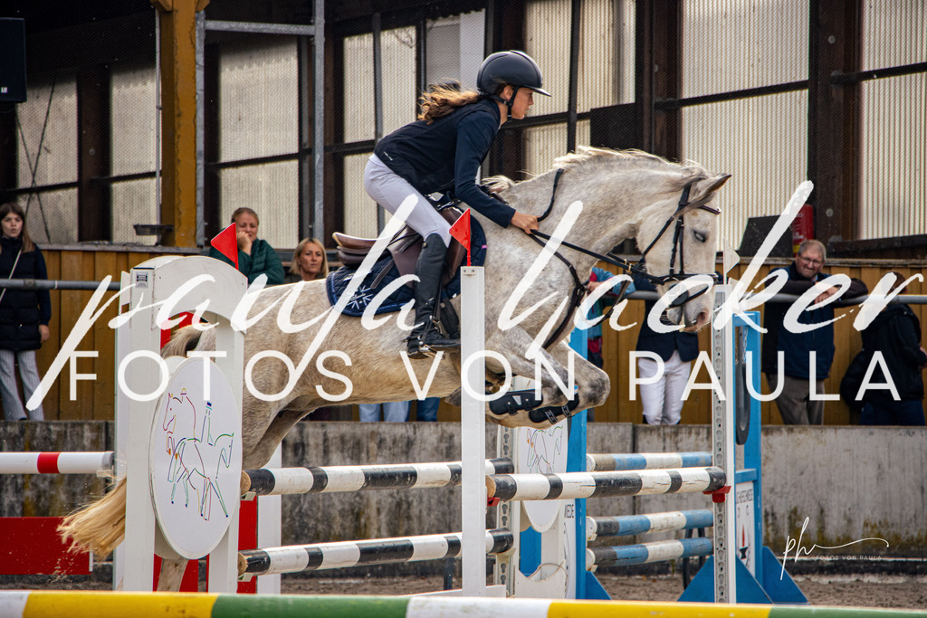 IMG_4493 | Erleben Sie dynamische Sport- und emotionale Tierfotografie in Süddeutschland mit Fotos von Paula. Spezialisiert auf Pferde- und Hundefotografie sowie Sportevents. Kontaktieren Sie mich für einzigartige und ausdrucksstarke Bilder Ihrer besonderen Momente. - Realisiert mit Pictrs.com