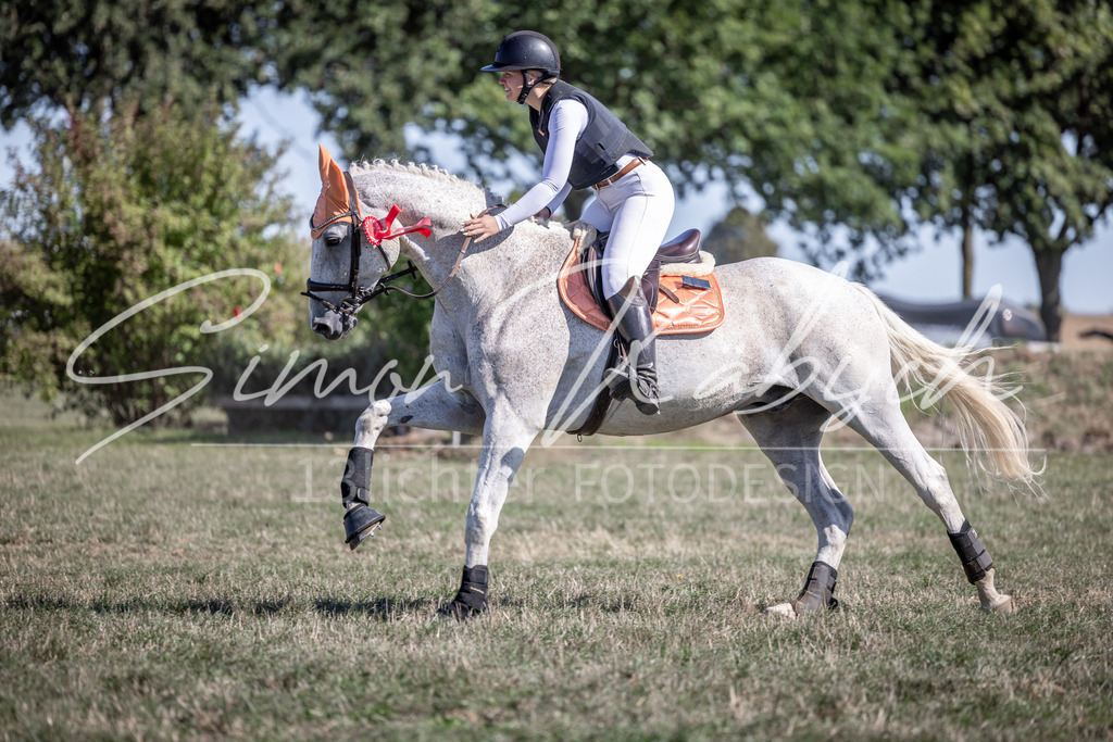 20260906-_3LI2774 | Tierfotografie Pferde, Hunde, Katzen, Haustiere.
Turnierfotografie Reitturniere, Reiten, Springreiten, Dressur in Hanau, dem Main-Kinzig-Kreis und dem Rhein-Main- Gebiet um Frankfurt